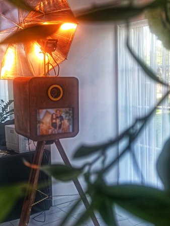 Fotobūdelė su lemputėmis ir augalų fonu vestuvių erdvėje